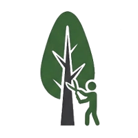 Icon für Baumfpflegedienst
