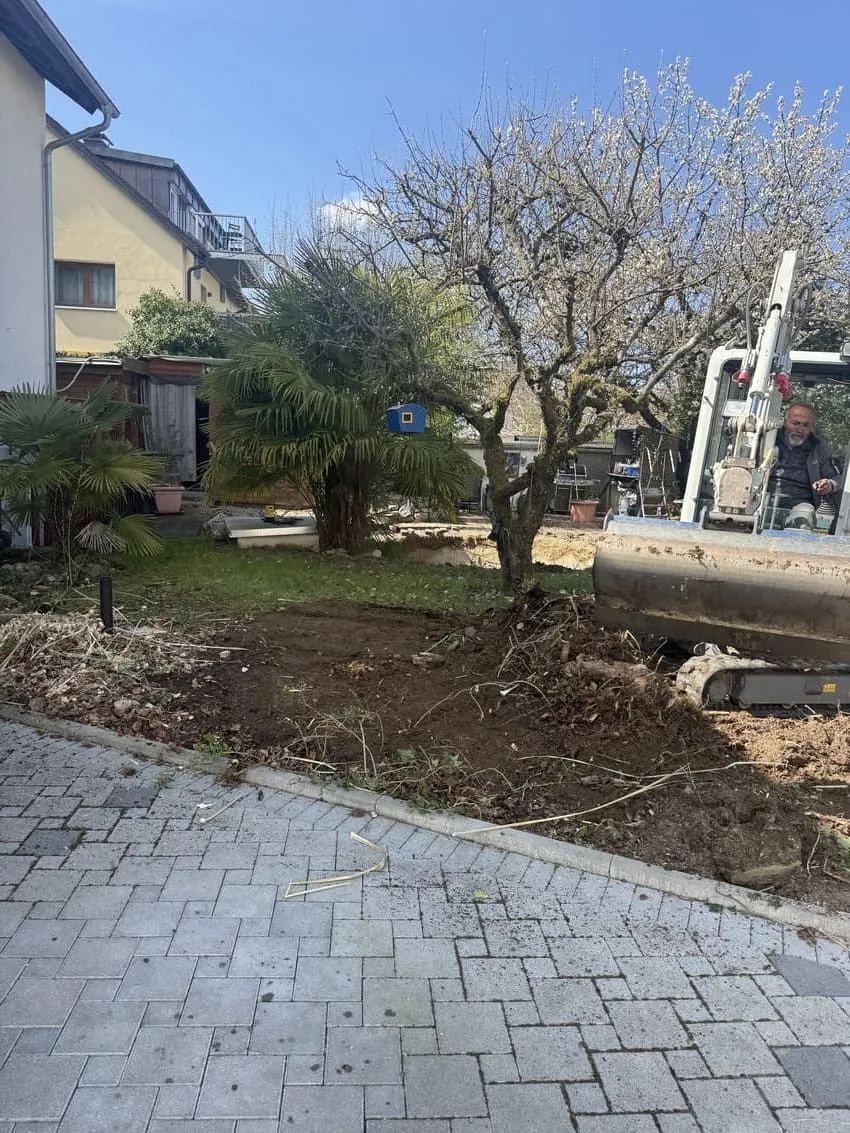 ausreissen-alter-baum Logo Gartenoase WebP