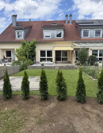 buchsbaeume pflanzen
