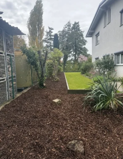 duengen von straeuchern