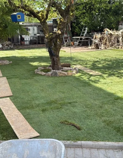 gartenbau auggen