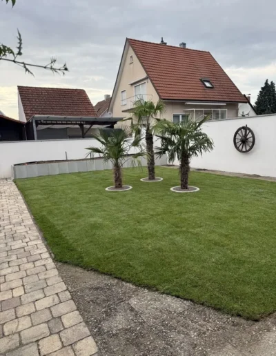 palme umringt