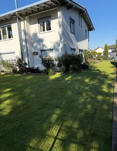 rasenpflege einfamilienhasu